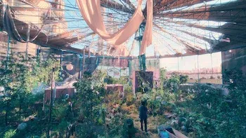 E8.Episode 8