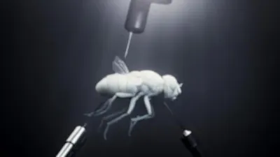 E3.Années Folles