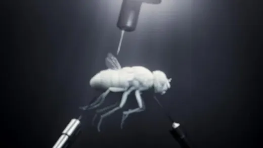 E3.Années Folles