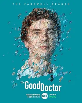 The Good Doctor - Web Serie complete free on Castle