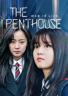 The Penthouse: War in Life