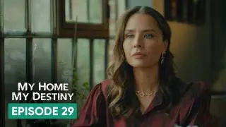 Episode 29