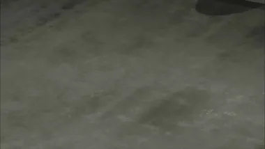 E6.Butterfly Effect's Divergence