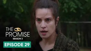Episode 29