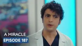 Episode 187