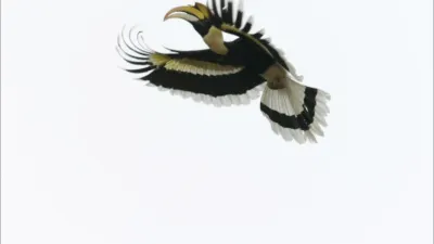 E2.Land of Mountains