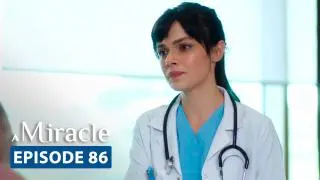 Episode 86