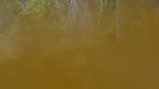 E271