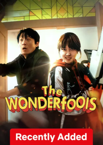 TV series poster: The WONDERfools