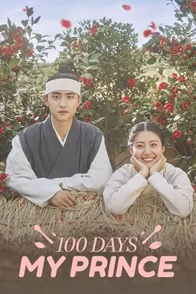 100 Days My Prince - Web Serie complete free on Castle