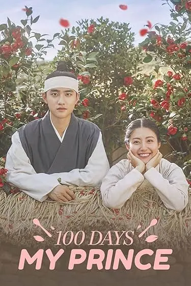 TV series poster: 100 Days My Prince