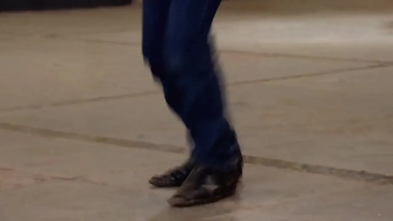 E1066