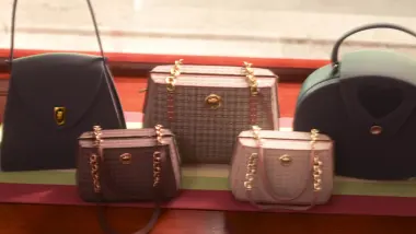 E2.The Real Rodents of Little Rodentia