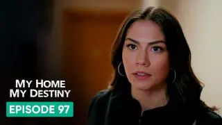 Episode 97