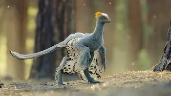 E6.Chapter 6: Out of the Ashes