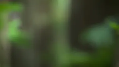 E3.Swamps