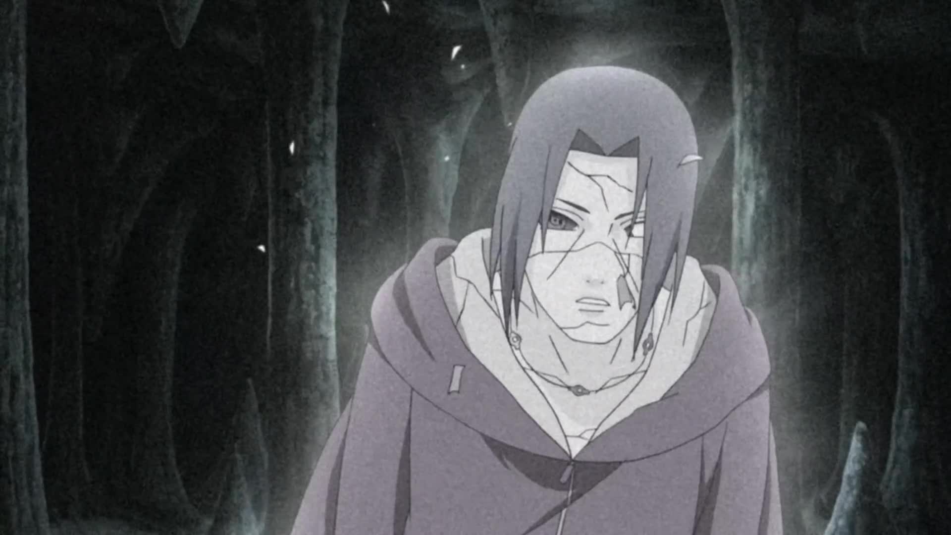 Episode 341