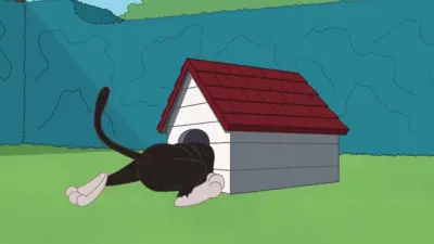 E59.Cat Dance Fever