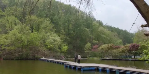 E15.Episode #1.15