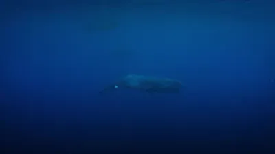 E1.Descent Into Darkness