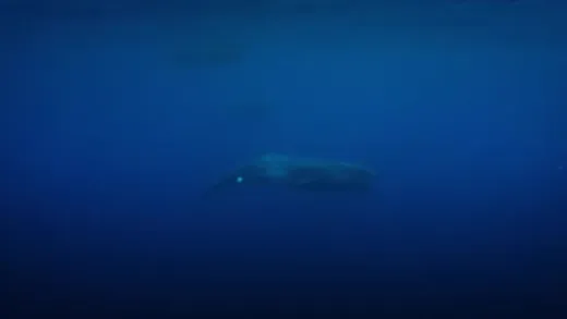 E1.Descent Into Darkness