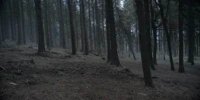 Episode 4