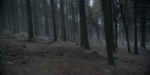 Episode 4