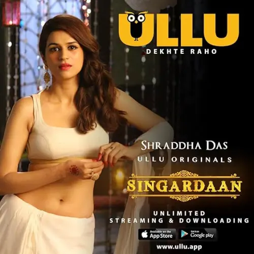 TV series poster: Singardaan