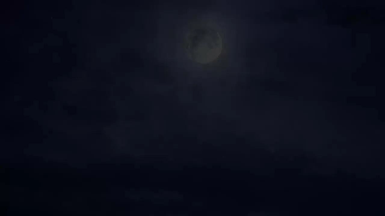 E884