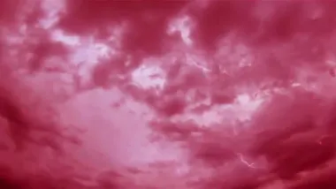 E829