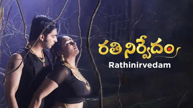 Movie Poster: Rathinirvedam