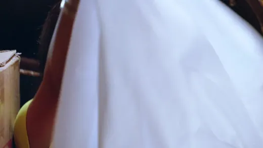 E233