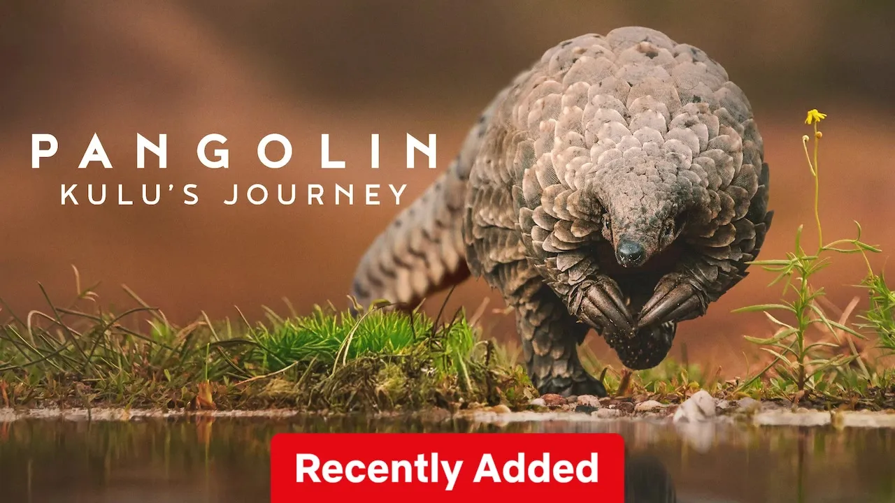 Movie Poster: Pangolin: Kulu’s Journey