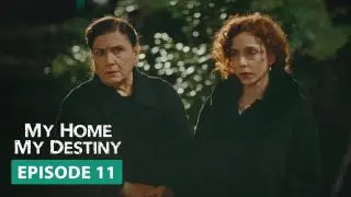 Episode 11