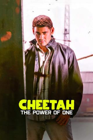 Cheetah: The Power Of One