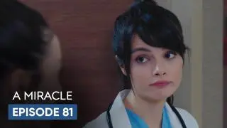 Episode 81