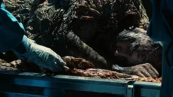 E10.The Pain Connection