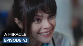 Episode 43