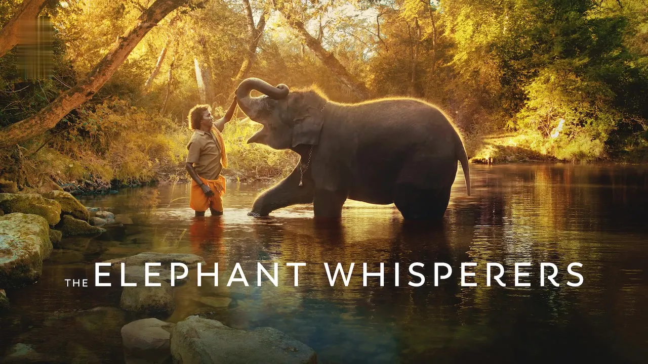 Movie Poster: The Elephant Whisperers