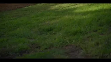 E3.Mortality Paradox