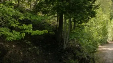 E1.With Friends Like These