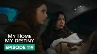 Episode 119