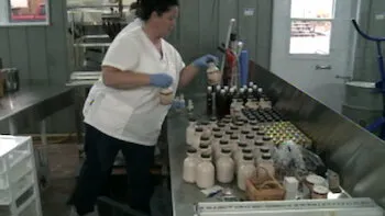 E5.The Maple Syrup Heist