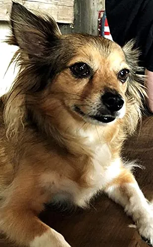 Ralphie