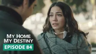 Episode 84