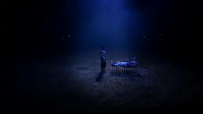 E229.Episode #1.229
