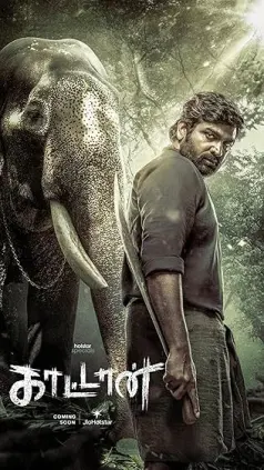 Kaattaan